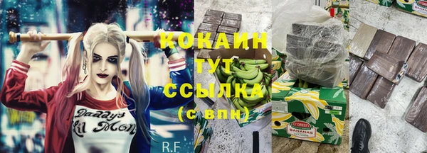 дживик Беломорск