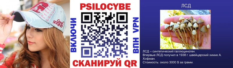 Псилоцибиновые грибы GOLDEN TEACHER OMG онион Саяногорск